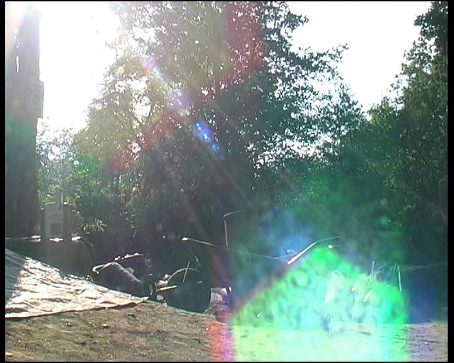 Bicycle Union, A summer day in Surrey.