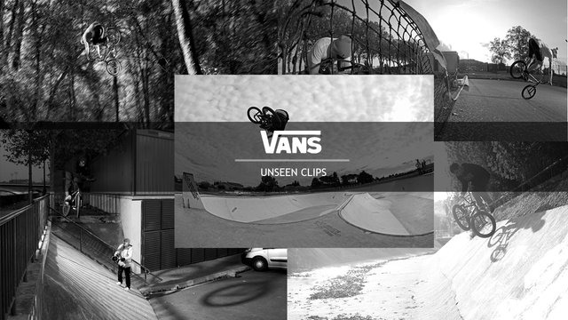 Unseen footage from the French VANS Team.