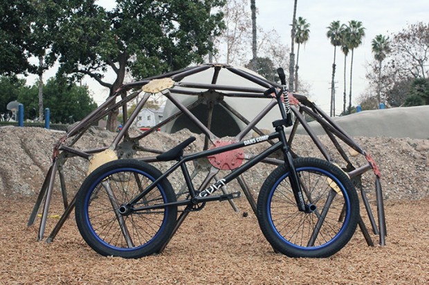 Chase D Butter Build Ride UK BMX