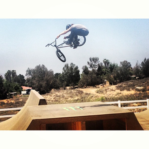 @fox_bmx