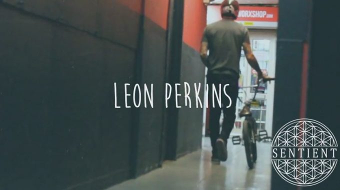 Leon Perkins - Sunday Selfie