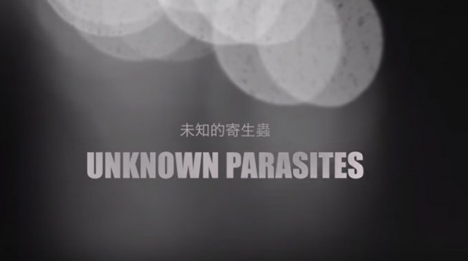 P-Town Parasites 2015