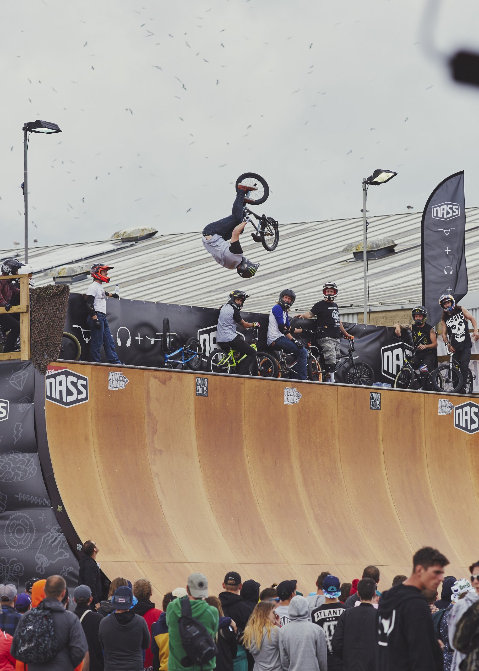 Vince Byron - Flarwhip - Photo by Michael Drummond