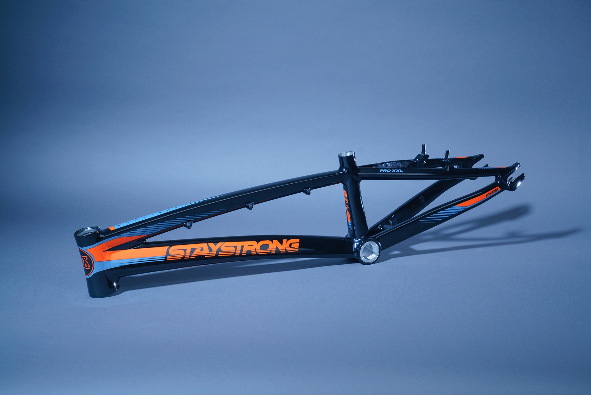 STAY STRONG FOR LIFE V2 RACE FRAME REVIEW Ri