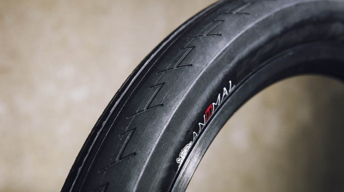 ANIMAL X TERRIBLE ONE TYRE – REVIEW