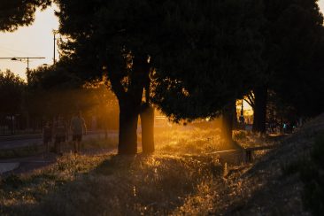 Late sun leading up to the Dirt finals