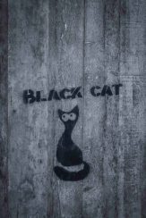 Black Cat DIY